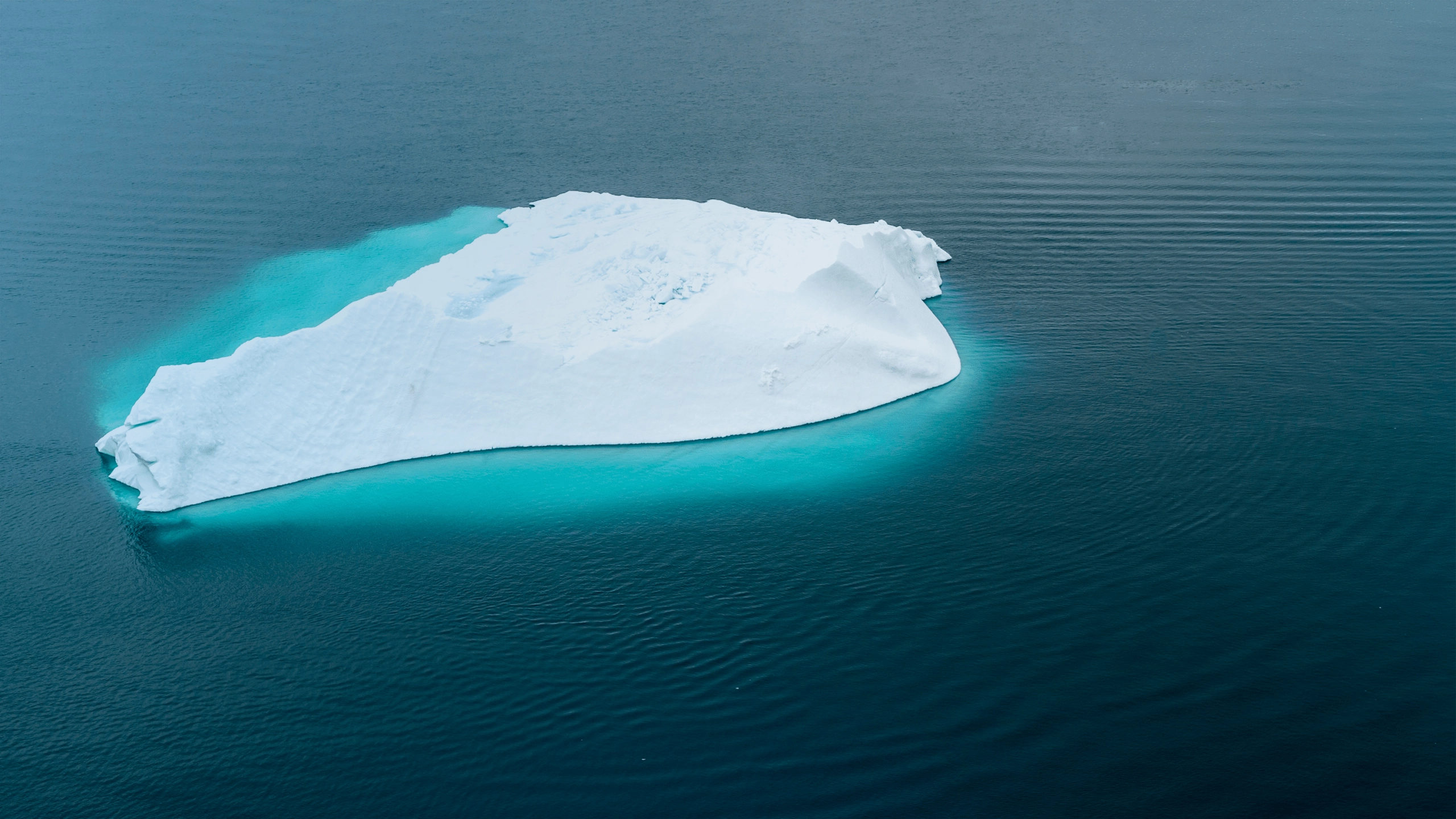 HbA1c and why Trainers should care about Glycation