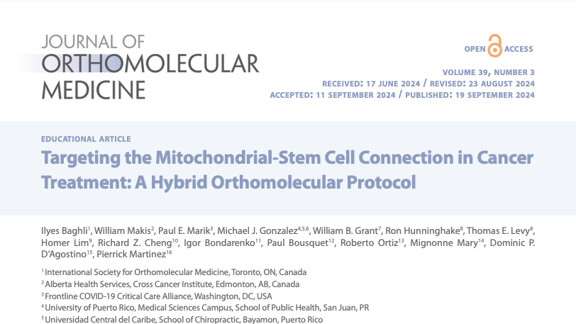 Targeting the Mitochondrial-Stem Cell Connection in Cancer Treatment: A Hybrid Orthomolecular Protocol