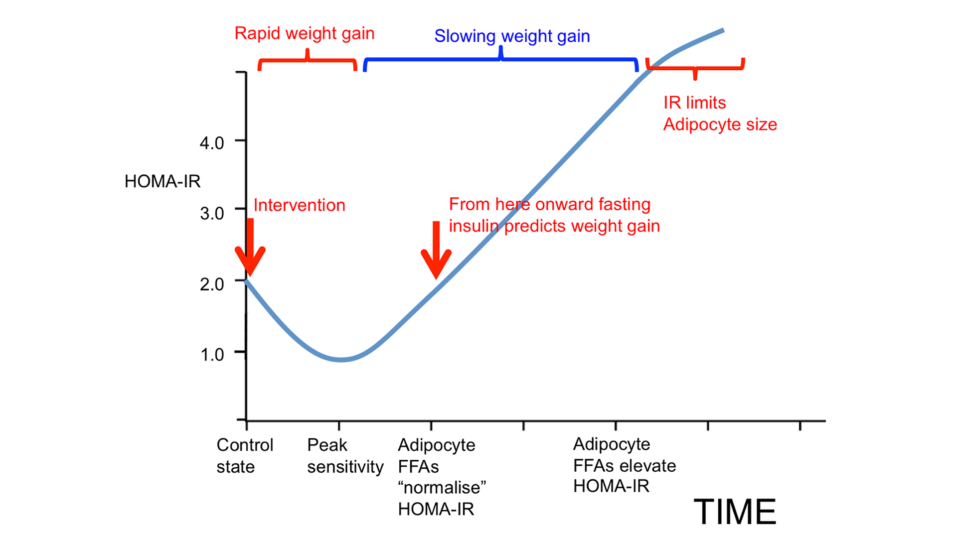 Reactive Oxygen Species