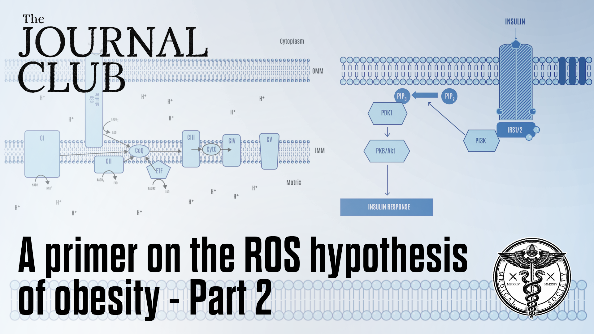 JournalClub-ROS-Primer-Part2 (1)