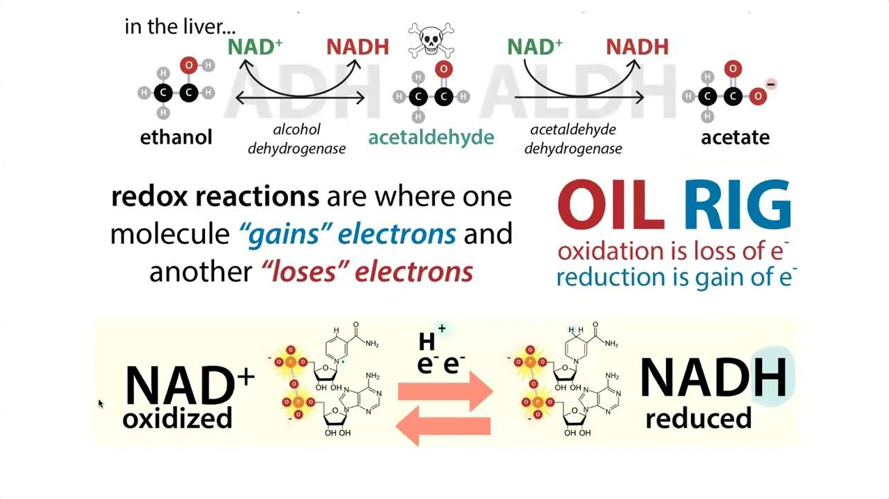 Article Heading Photo