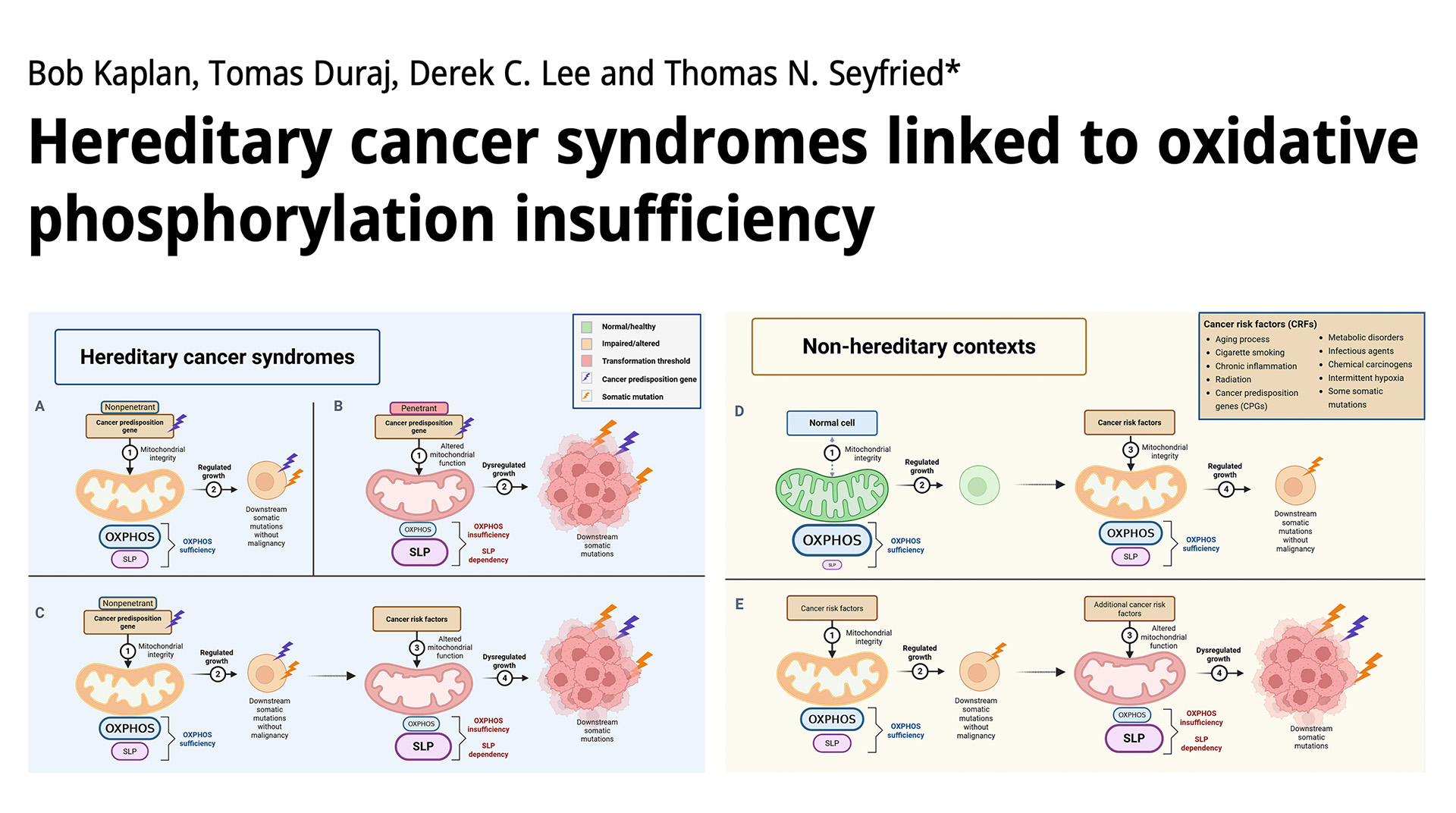 Article Heading Photo