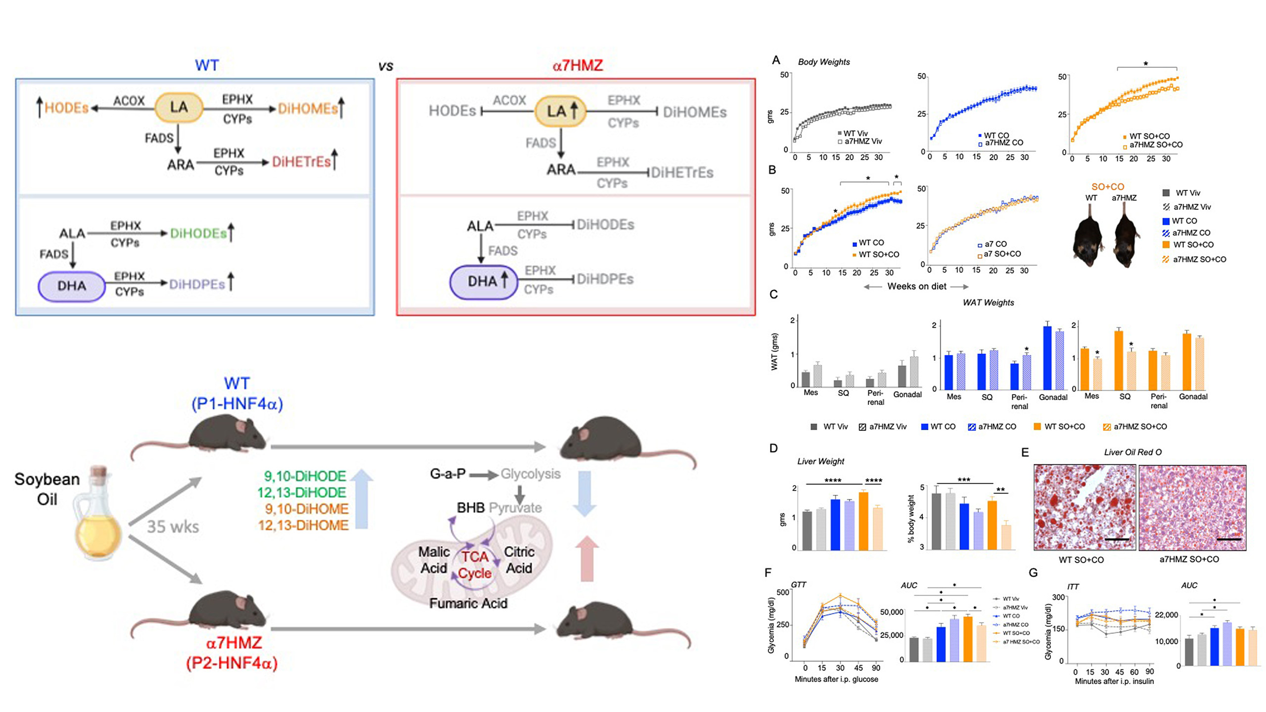 Article Heading Photo