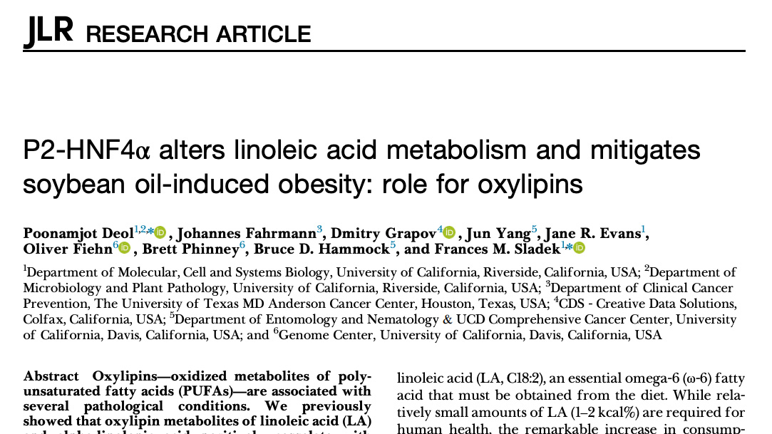 Article Heading Photo