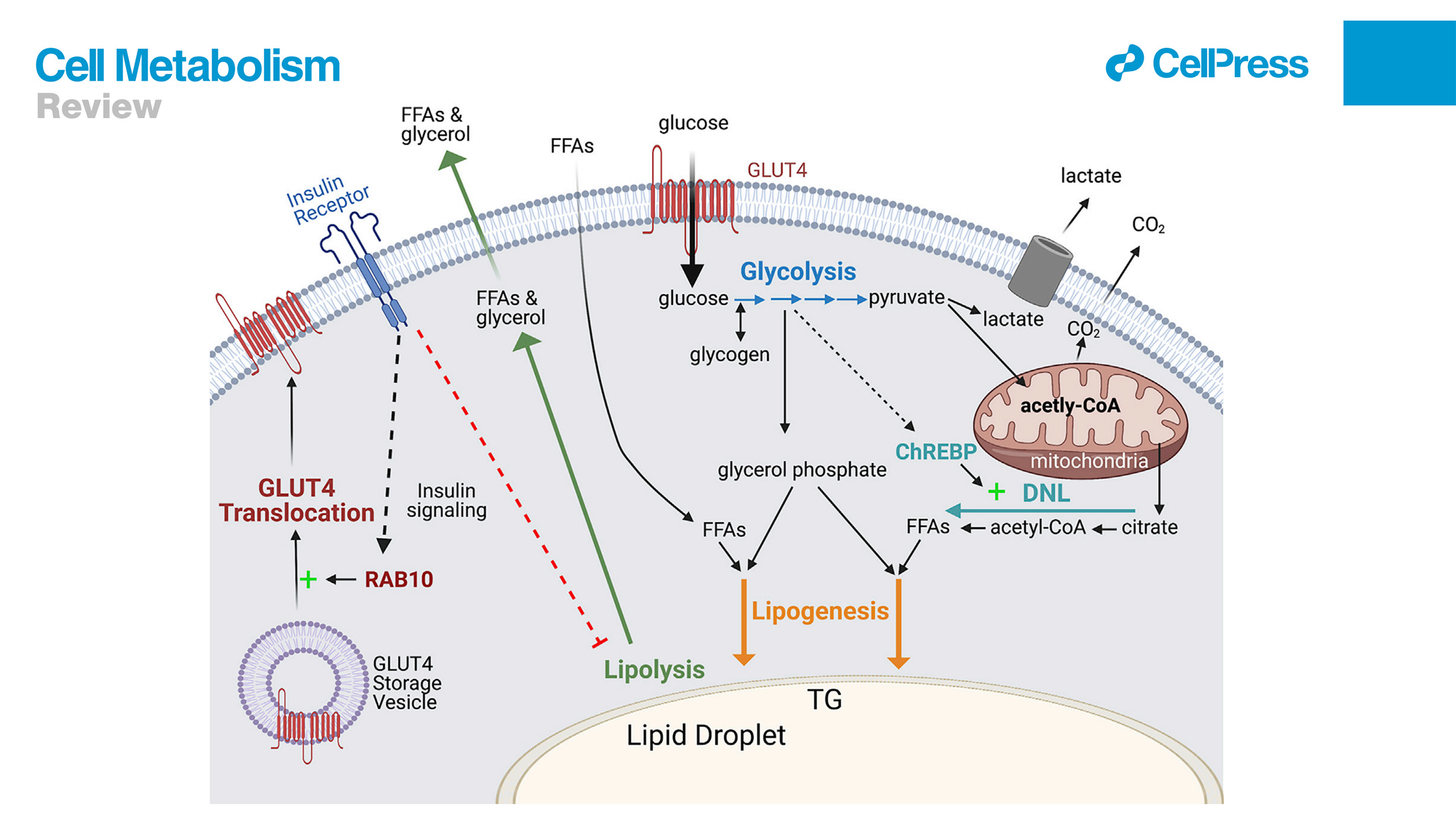 Article Heading Photo