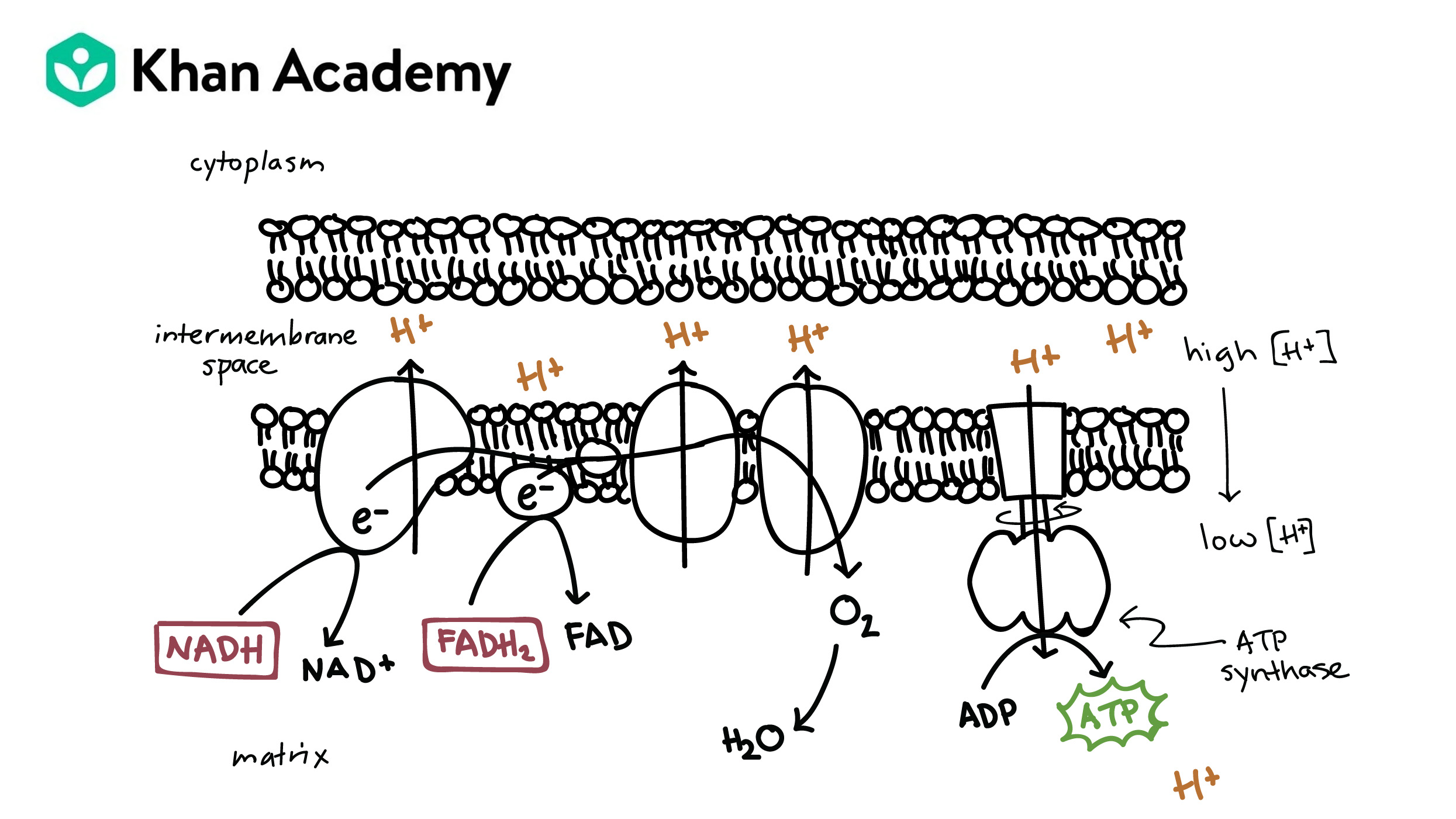 Article Heading Photo