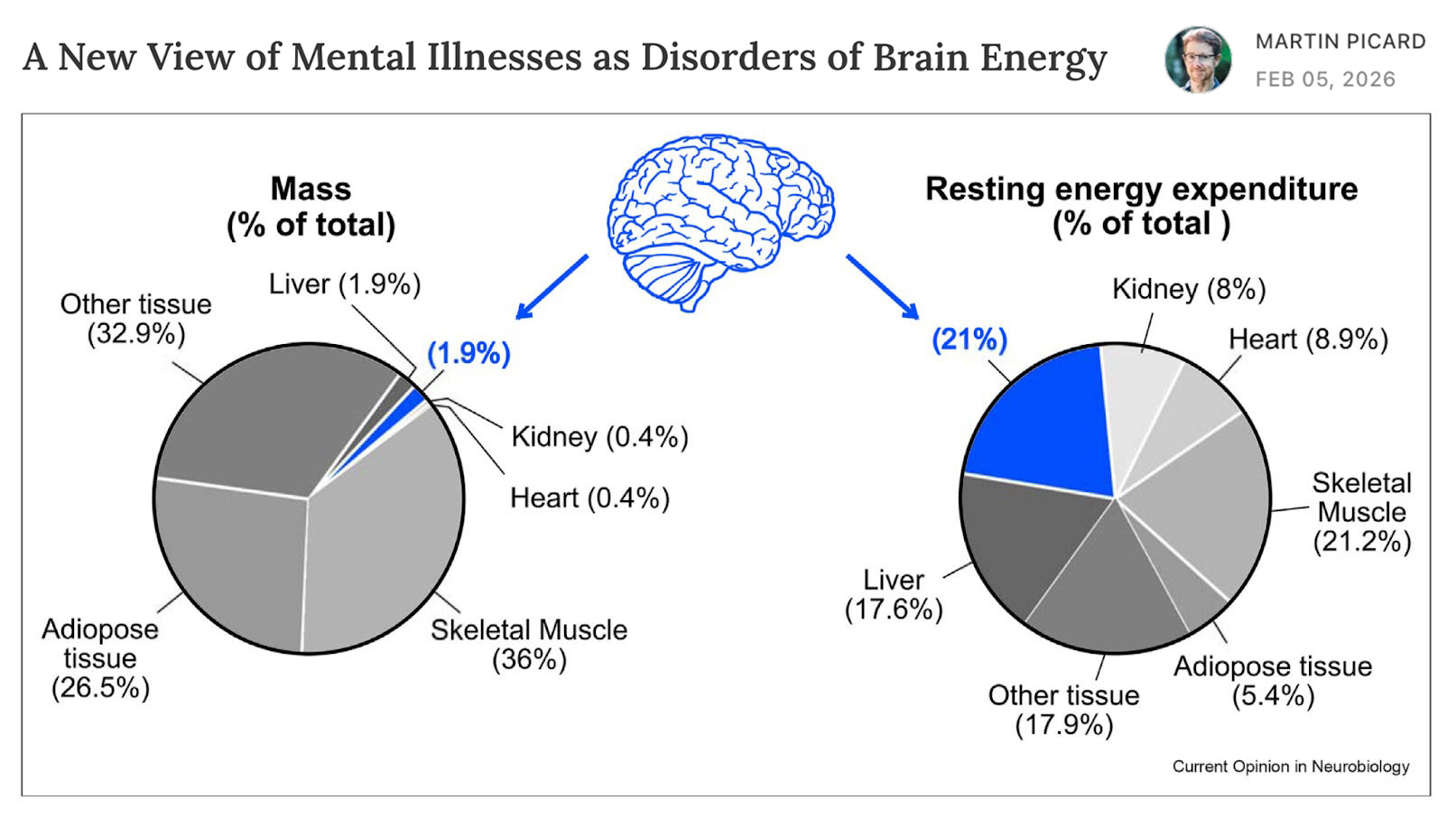 Article Heading Photo